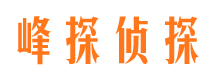 镇安外遇出轨调查取证